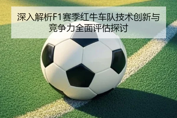 深入解析F1赛季红牛车队技术创新与竞争力全面评估探讨